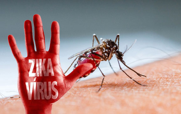 Báo động Virus Zika tại Việt Nam