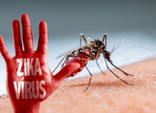 Báo động Virus Zika tại Việt Nam