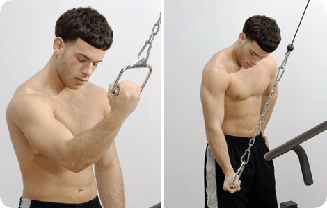 Đứng kéo cáp 1 tay tập cơ tay sau - One arm cable triceps extension