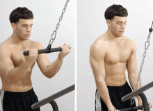 Tập tay sau với Reverse Grip Triceps Pushdown