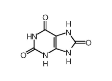 Nguyên nhân tăng acid uric máu