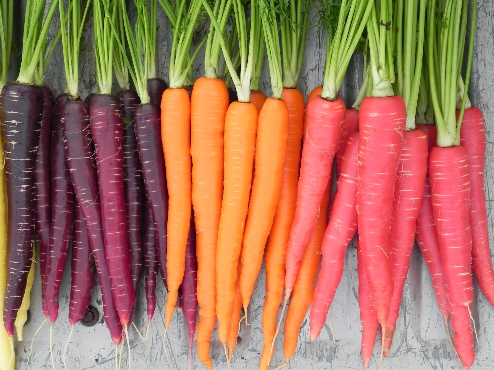 7 lợi ích của cà rốt đối với sức khỏe
