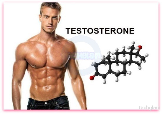 Cách tăng hormone testosterone tự nhiên